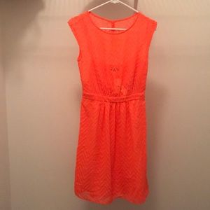 J crew summer dress